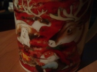 ����� Sony Ericsson C901