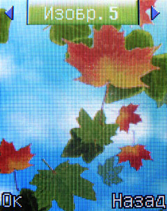 ����� �������� �������� Fly DS160