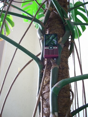 ����� Sony Ericsson Naite (J105)