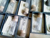 ����� Sony Ericsson Naite (J105)