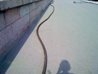 ����� Sony Ericsson Naite (J105)