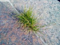 ����� Sony Ericsson Naite (J105)