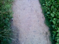 ����� Sony Ericsson T715