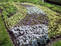 ����� Sony Ericsson S312