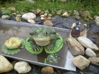 Nokia N86 8�� � ��� �� ����������?