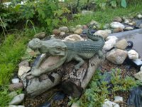 Nokia N86 8�� � ��� �� ����������?