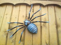 Nokia N86 8�� � ��� �� ����������?