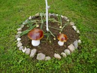 Nokia N86 8�� � ��� �� ����������?