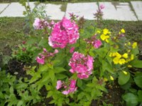 Nokia N86 8�� � ��� �� ����������?