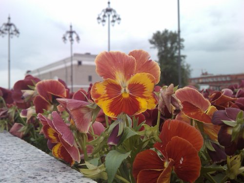 IMAG0124