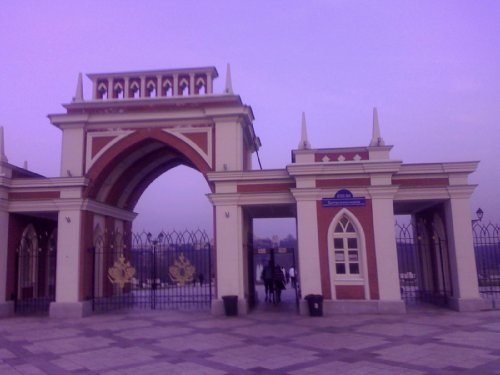 PIC090428001
