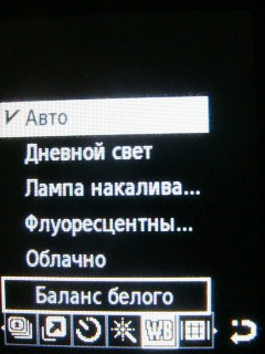 ����� ���������� �������� Samsung B2700 � "���������" ��� ���?