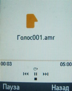 ����� ���������� �������� Samsung B2700 � "���������" ��� ���?