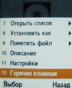 ����� ���������� �������� Samsung B2700 � "���������" ��� ���?