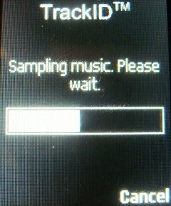 ����� ���������� �������� Sony Ericsson T303 � �����-������ 