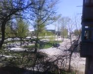 ����� ���������� �������� Sony Ericsson T303 � �����-������