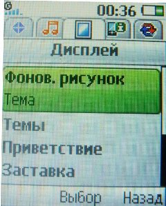 ����� ���������� �������� Sony Ericsson T303 � �����-������ 