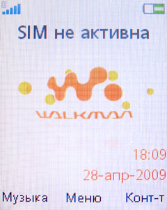 ����� �������� �������� Sony Ericsson W395