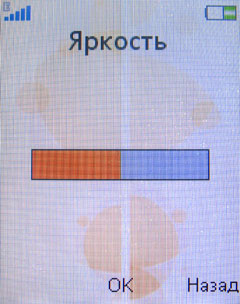 ����� �������� �������� Sony Ericsson W395