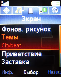 ����� �������� �������� Sony Ericsson W395