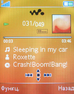 ����� �������� �������� Sony Ericsson W395