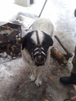 Nokia 6220 Classic � �� ������ ��������� ��������