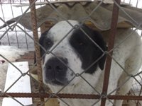 Nokia 6220 Classic � �� ������ ��������� ��������