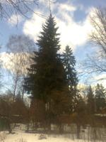 Nokia 7210 Supernova � ����� ��������� �������