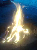 Nokia 7210 Supernova � ����� ��������� �������