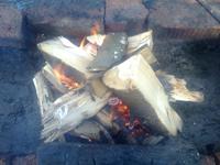 Nokia 7210 Supernova � ����� ��������� �������