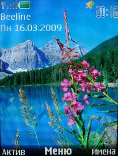 Nokia 3120 Classic � �������� �����