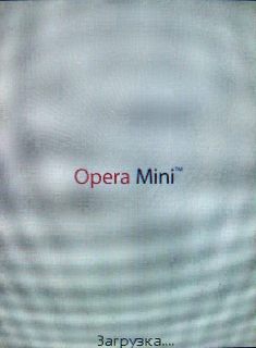 Nokia 3120 Classic � �������� �����