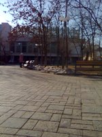 ����� Nokia 6600 Fold � �������� ������