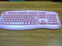 ����� Nokia 6600 Fold � �������� ������