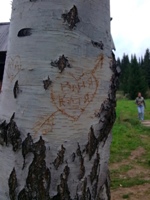 ����� ���������� �������� Nokia N78 - ����� ���������!