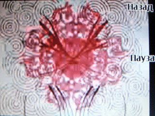 ����� �������� �������� Nokia 3610 Fold - ���������� �������