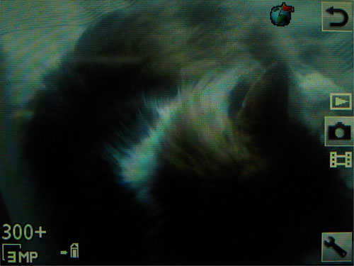 ����� Sony Ericsson W595 - ������ ����� 