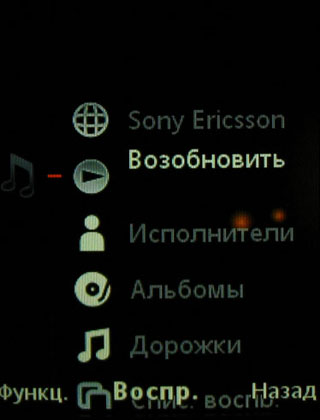 ����� Sony Ericsson W595 - ������ ����� 
