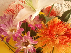 ������ ����� Samsung I9000 Galaxy S: ������ � �����