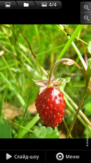 ����� Motorola Milestone XT720: ������ Android-���������