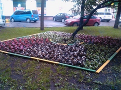 ����� Acer Stream. ����� ��������� ������� Android 