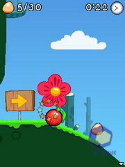 ��������� Nokia C5