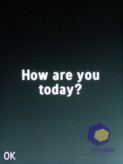 ��������� Samsung S3550