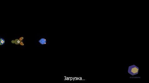 ��������� Nokia X6