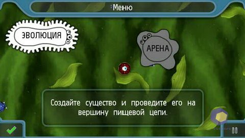 ��������� Nokia X6