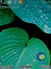 ��������� Nokia 6600i_slide