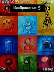 ��������� Fly DS210