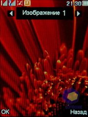 ��������� Fly DS210