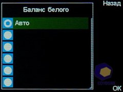 ��������� Fly DS210