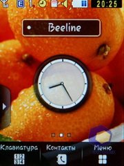 ��������� Samsung S3650_Corby